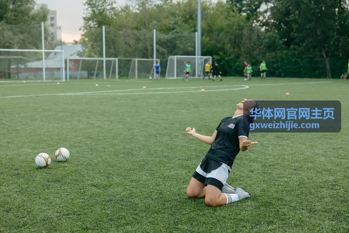 华体网官网主页场馆预订板块封面