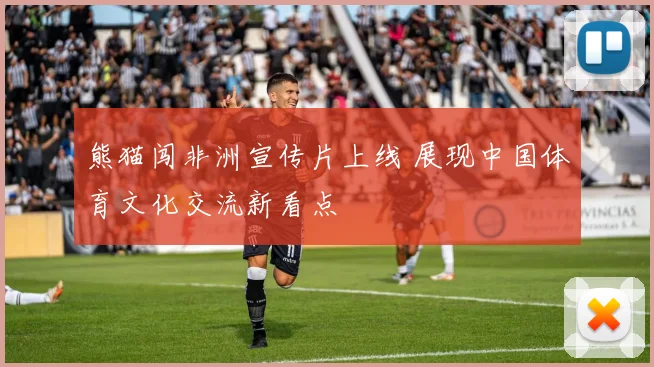 熊猫闯非洲宣传片上线 展现中国体育文化交流新看点