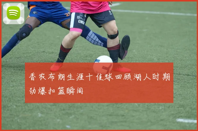 香农布朗生涯十佳球回顾湖人时期劲爆扣篮瞬间